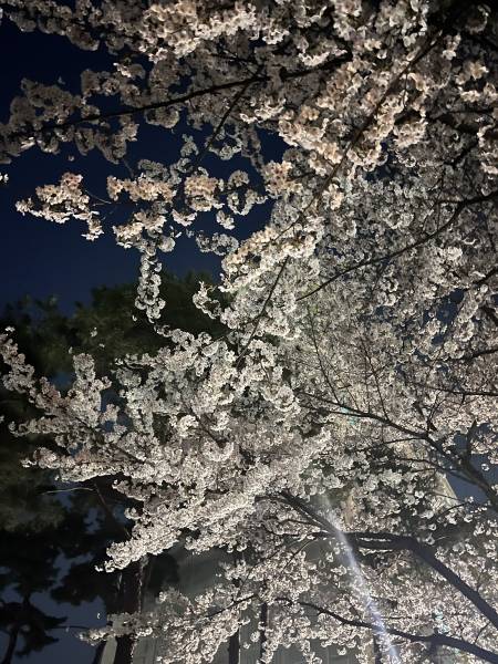 후기 이미지