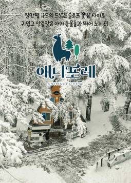 모나용평 발왕산 애니포레