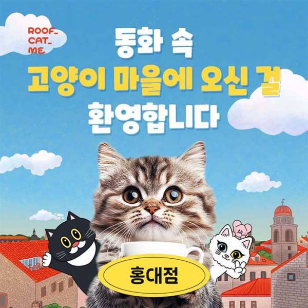 루프캣미 실내 고양이카페(홍대)