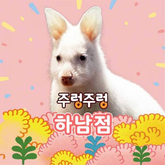주렁주렁 실내 동물원(하남점)