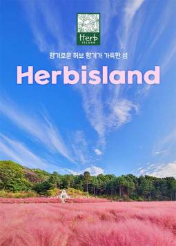 허브아일랜드
