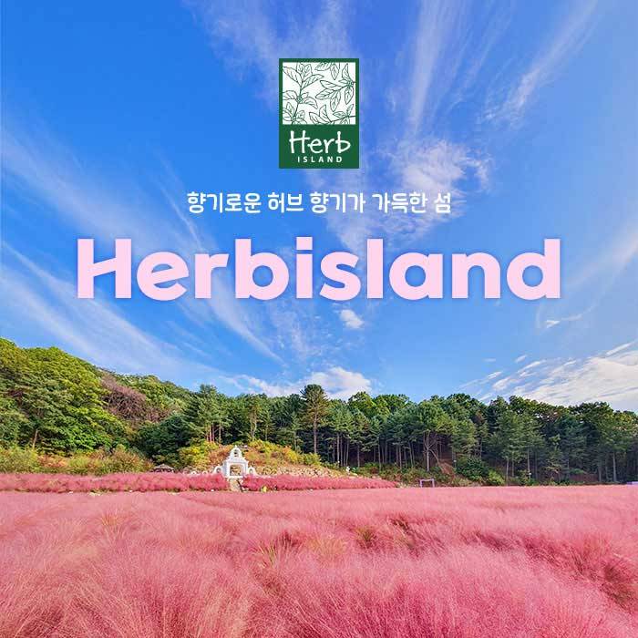 허브아일랜드