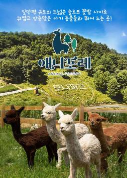 모나용평 애니포레