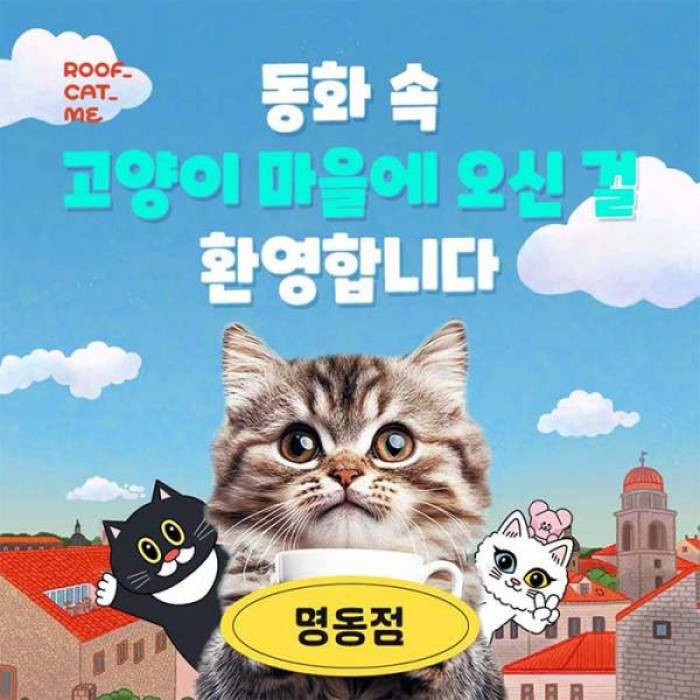 루프캣미 실내 고양이카페(명동)