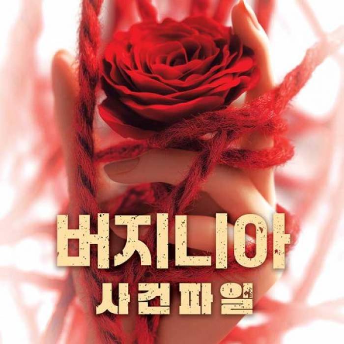 버지니아 사건파일