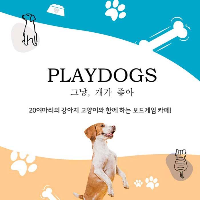 플레이독스 애견동반카페 이용권