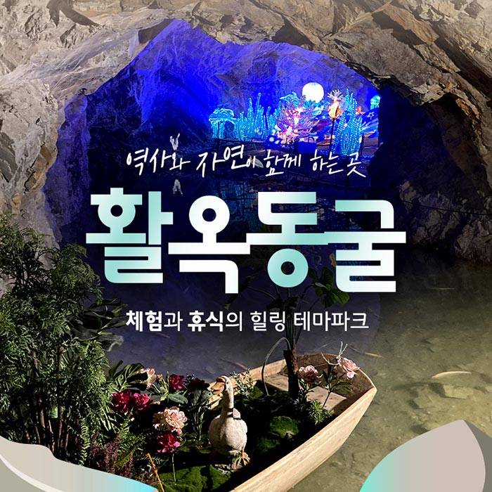 충주 활옥동굴 입장권