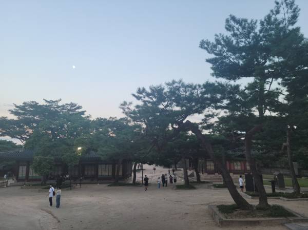 후기 이미지