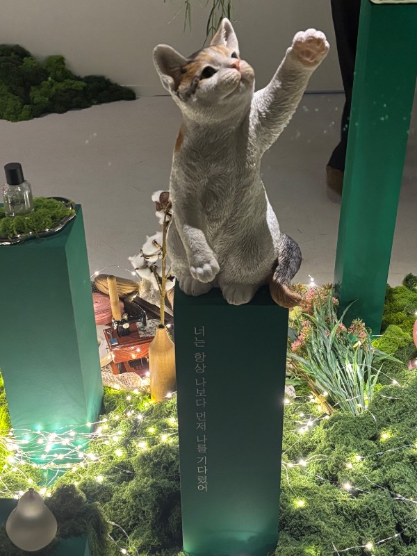 후기 이미지